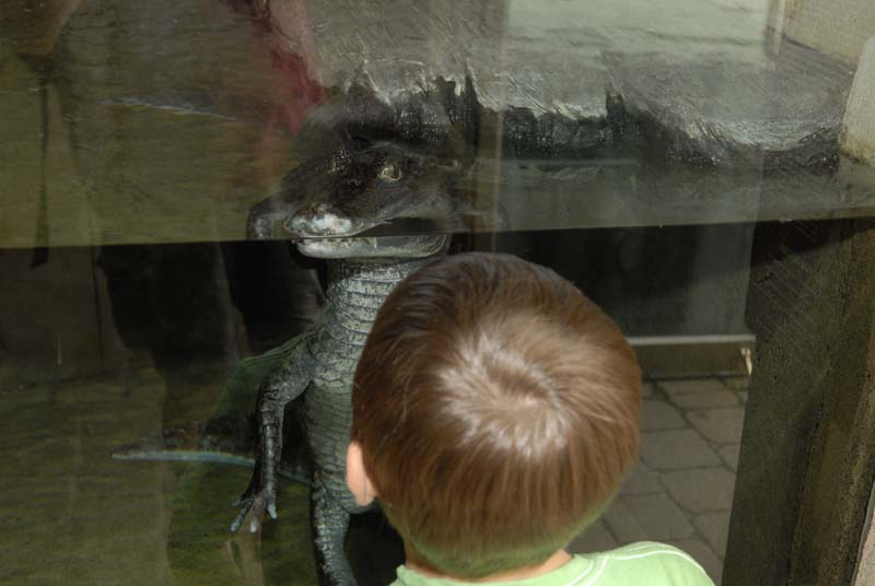 2007-06-11_0102_Glen Aquarium