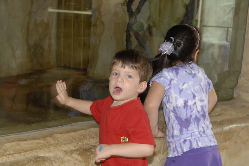 2007-06-11_0105_Glen Aquarium