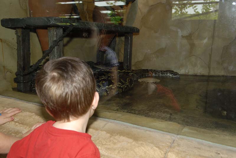 2007-06-11_0107_Glen Aquarium