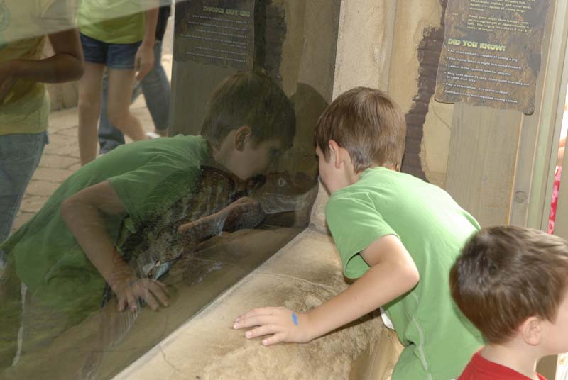 2007-06-11_0110_Glen Aquarium