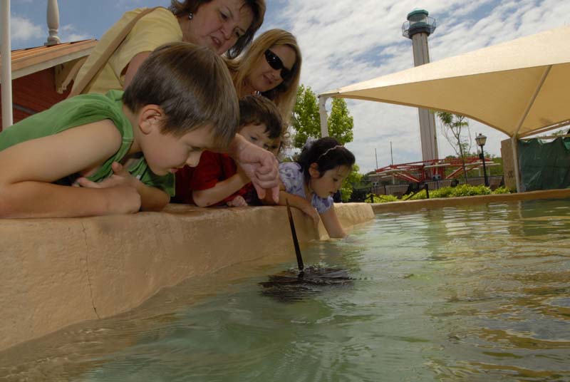 2007-06-12_0092_Glen Aquarium