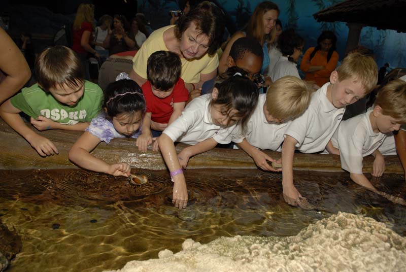 2007-06-12_0115_Glen Aquarium