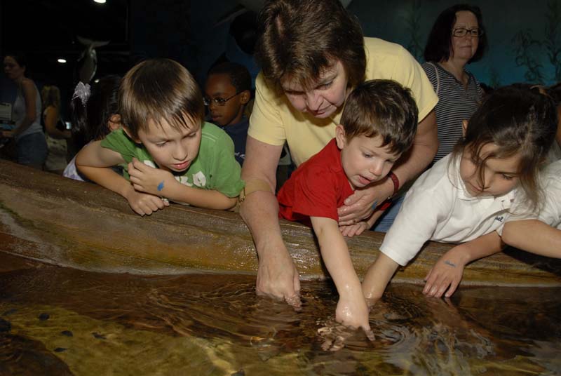 2007-06-12_0121_Glen Aquarium