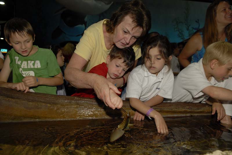 2007-06-12_0123_Glen Aquarium