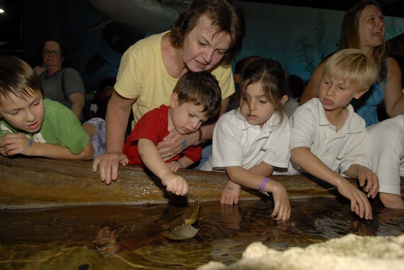 2007-06-12_0124_Glen Aquarium