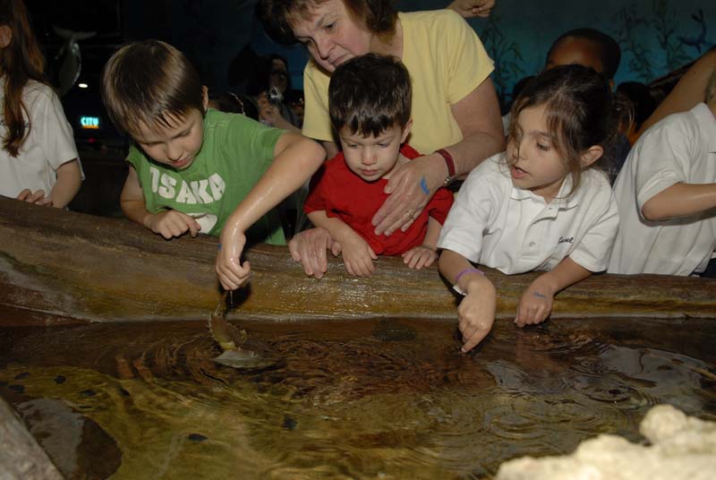 2007-06-12_0125_Glen Aquarium