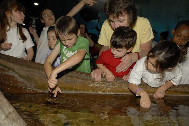 2007-06-12_0126_Glen Aquarium