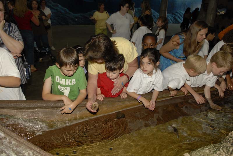 2007-06-12_0130_Glen Aquarium