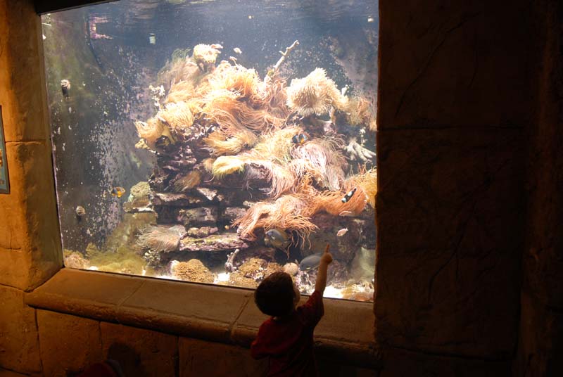 2007-06-12_0132_Glen Aquarium
