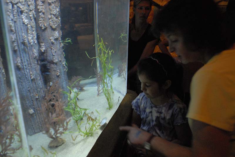 2007-06-12_0140_Glen Aquarium