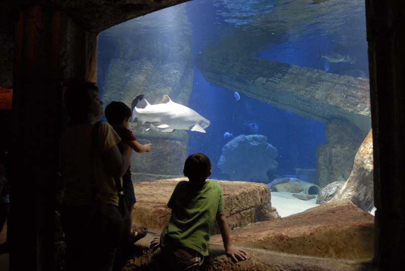2007-06-12_0165_Glen Aquarium
