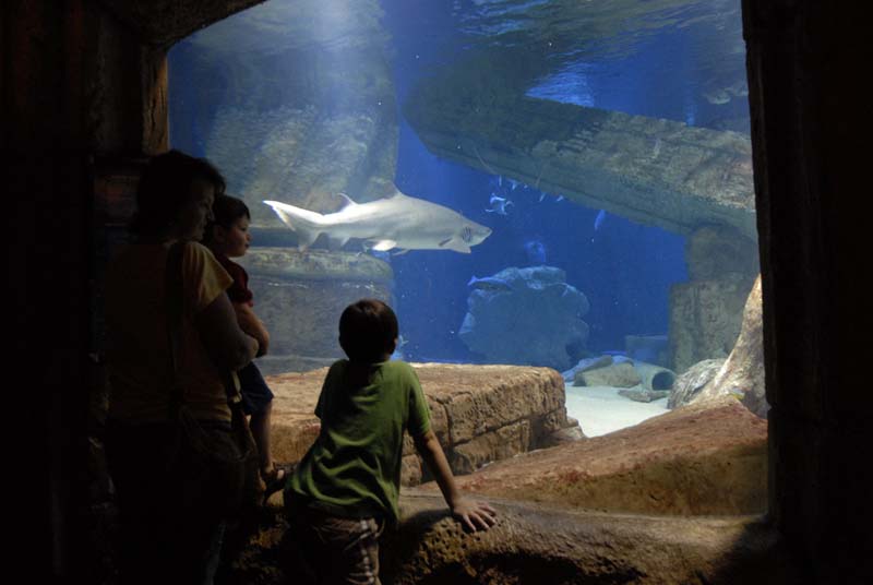 2007-06-12_0167_Glen Aquarium