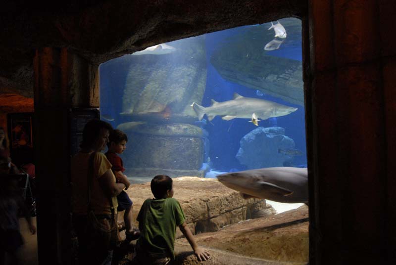 2007-06-12_0168_Glen Aquarium