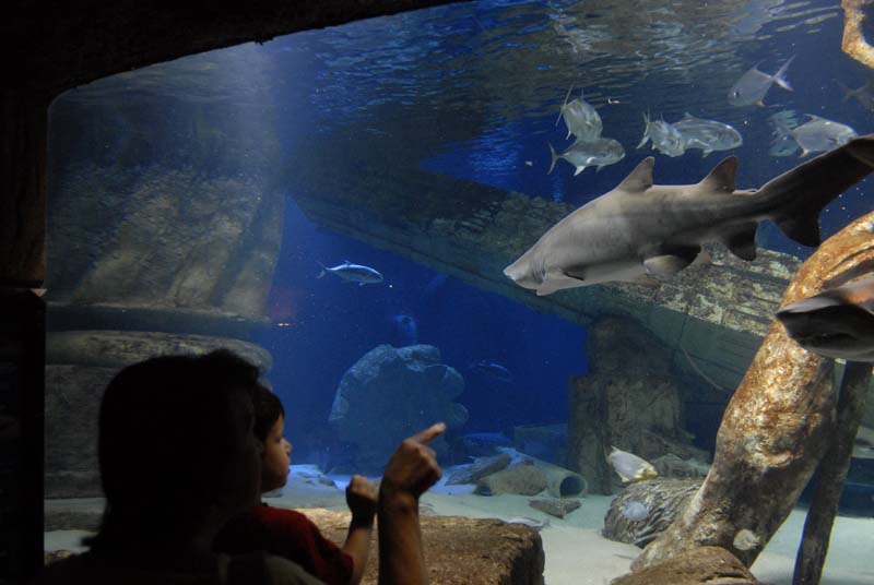 2007-06-12_0184_Glen Aquarium