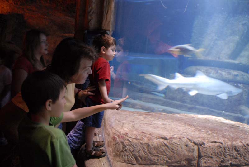 2007-06-12_0193_Glen Aquarium
