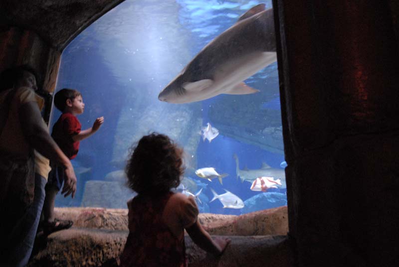 2007-06-12_0201_Glen Aquarium