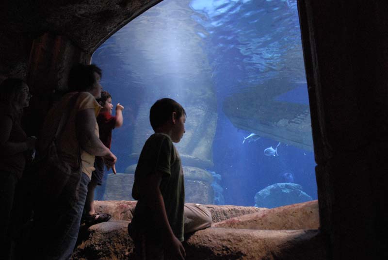 2007-06-12_0205_Glen Aquarium