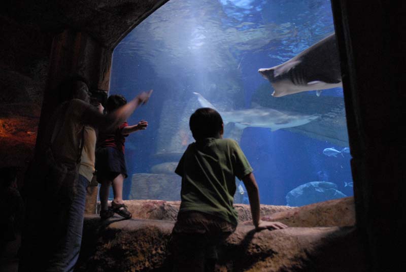 2007-06-12_0207_Glen Aquarium