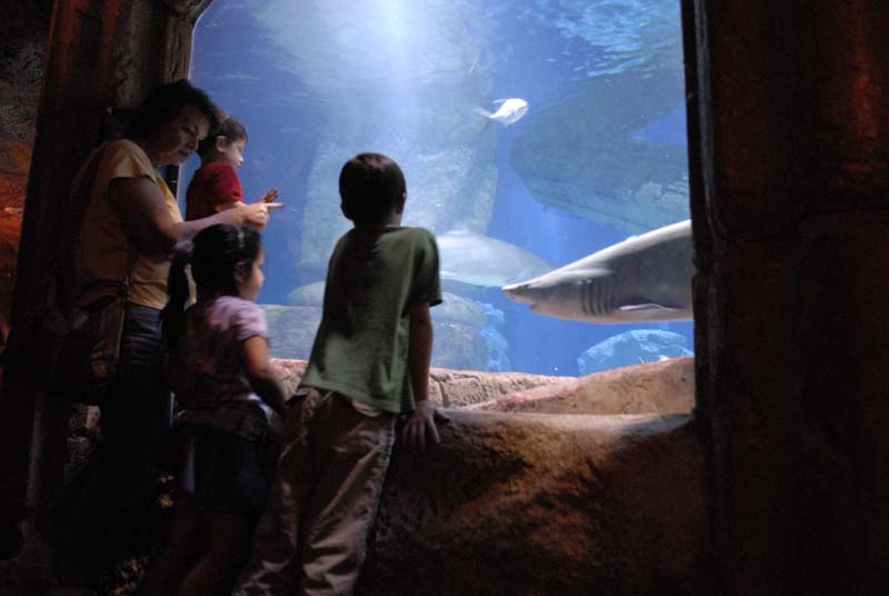 2007-06-12_0213_Glen Aquarium