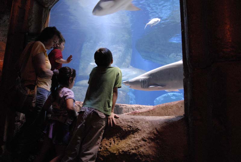 2007-06-12_0214_Glen Aquarium