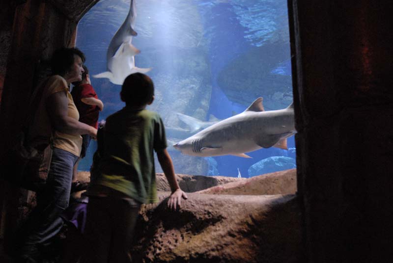 2007-06-12_0216_Glen Aquarium