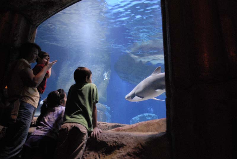 2007-06-12_0220_Glen Aquarium