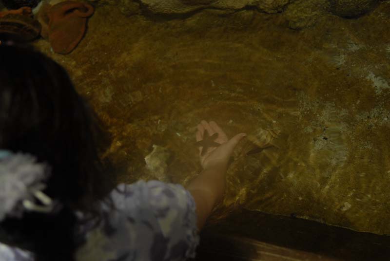 2007-06-12_0274_Glen Aquarium