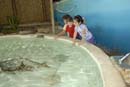 2007-06-11_0009_Glen Aquarium