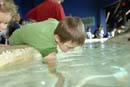 2007-06-11_0011_Glen Aquarium