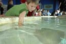 2007-06-11_0012_Glen Aquarium