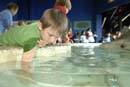 2007-06-11_0013_Glen Aquarium