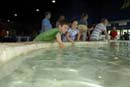 2007-06-11_0027_Glen Aquarium