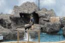 2007-06-11_0059_Glen Aquarium