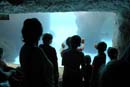 2007-06-11_0060_Glen Aquarium