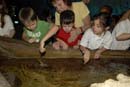 2007-06-12_0125_Glen Aquarium