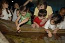 2007-06-12_0126_Glen Aquarium