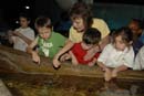 2007-06-12_0127_Glen Aquarium