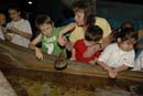2007-06-12_0128_Glen Aquarium