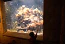2007-06-12_0132_Glen Aquarium