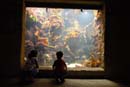 2007-06-12_0137_Glen Aquarium