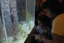 2007-06-12_0140_Glen Aquarium