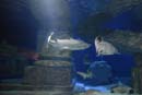 2007-06-12_0155_Glen Aquarium