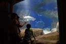 2007-06-12_0166_Glen Aquarium