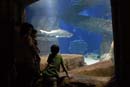 2007-06-12_0167_Glen Aquarium