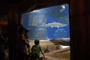 2007-06-12_0168_Glen Aquarium