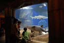 2007-06-12_0169_Glen Aquarium