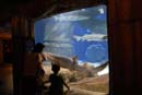 2007-06-12_0170_Glen Aquarium