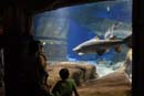 2007-06-12_0171_Glen Aquarium