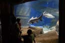 2007-06-12_0172_Glen Aquarium