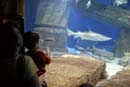2007-06-12_0173_Glen Aquarium